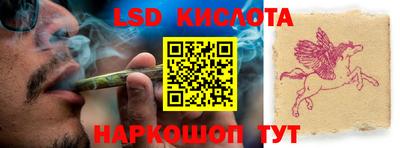 стафф Будённовск
