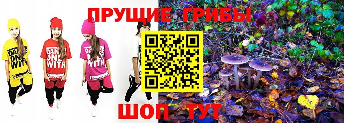 Псилоцибиновые грибы мицелий Прокопьевск