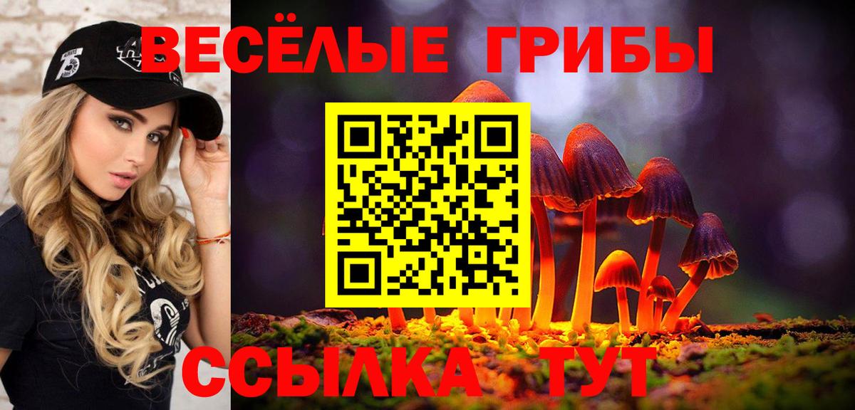 Прокопьевск  Псилоцибиновые грибы ЛСД  Псилоцибиновые грибы Cubensis  купить  сайты  Вход с VPN 